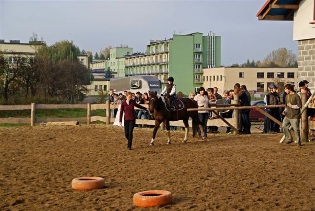 Hubertus 2009